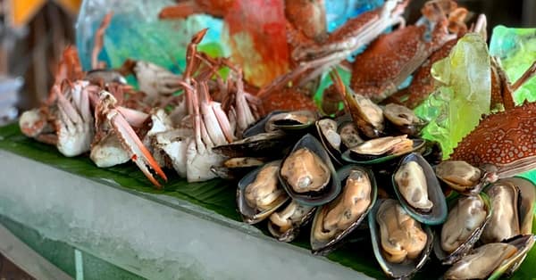5* Saturday Brunch W/Optional Pool Access: Child Aed 75, Adult Aed 149 Abu Dhabi - Image 10