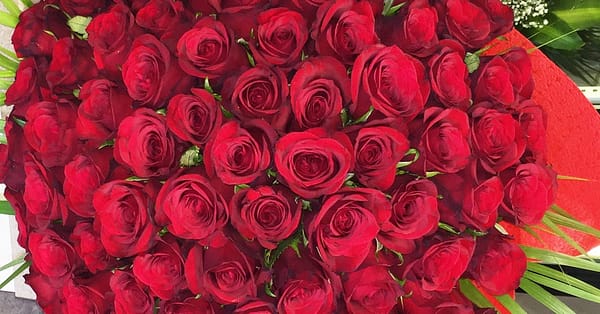 50 To 200 Roses And Card Dubai - Image 2
