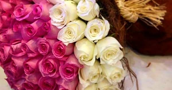 50 To 200 Roses And Card Dubai - Image 7
