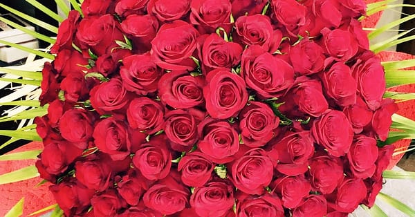 50 To 200 Roses And Card Dubai - Image 9