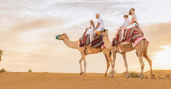 Abu Dhabi Desert Safari W/ Central/Home Or Hotel Pickup, Dinner & More Abu Dhabi - Image 3