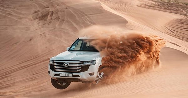 Abu Dhabi Desert Safari W/ Central/Home Or Hotel Pickup, Dinner & More Abu Dhabi - Image 6