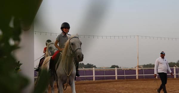 Al Madam 2 Stables, 45-Minute Horse Riding Lesson Dubai - Image 3