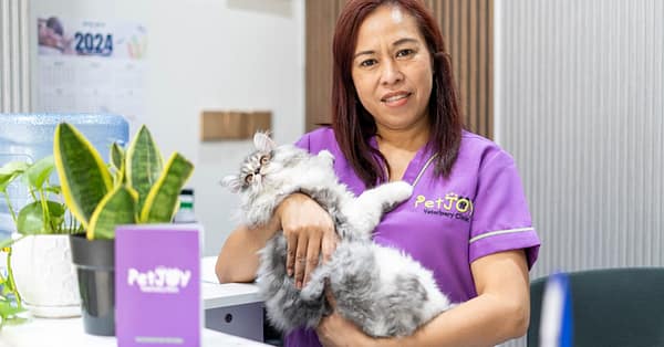 Basic Grooming Session At Pet Joy Veterinary Clinic Dubai - Image 4