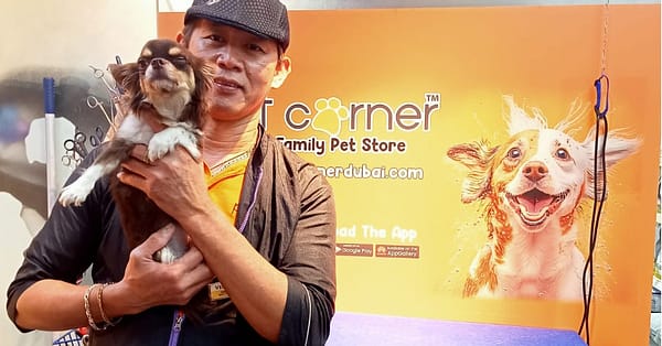 Basic Or Full Grooming At Pet Corner Dubai - Image 11