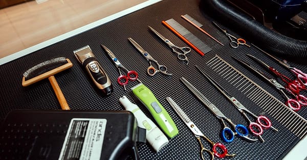 Basic Or Full Grooming For Cats Or Dogs At Pets Habitat Dubai - Image 4