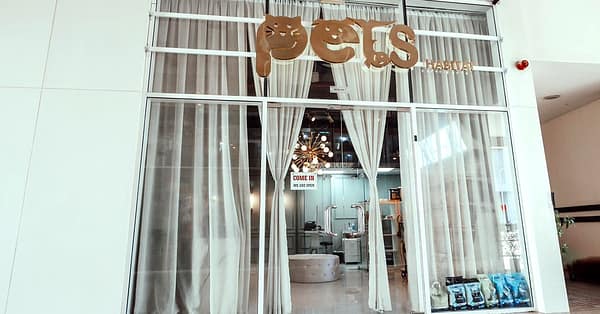 Basic Or Full Grooming For Cats Or Dogs At Pets Habitat Dubai - Image 5