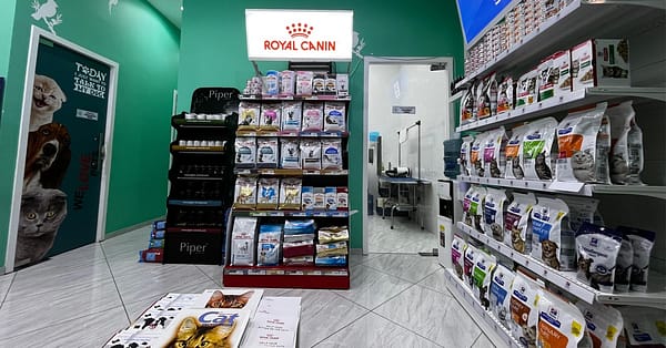 Basic Or Full Grooming For Cats Or Dogs Of Various Sizes Dubai - Image 2