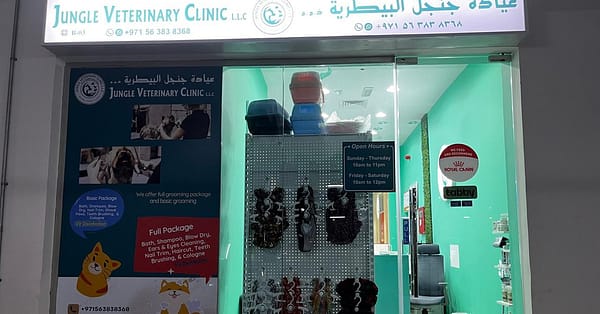 Basic Or Full Grooming For Cats Or Dogs Of Various Sizes Dubai - Image 3