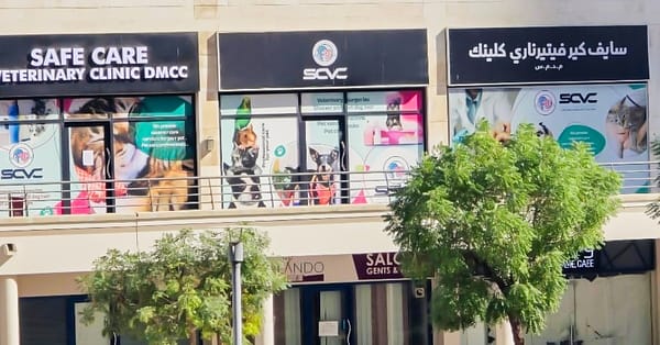 Cat And Dog Check Up And Vaccinations Dubai - Image 4