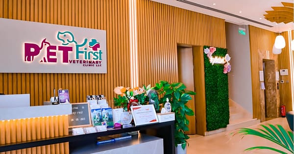 Cat/Dog Annual Vaccination, Full Check-Up W/ Optional Nail Trim & More Dubai - Image 10