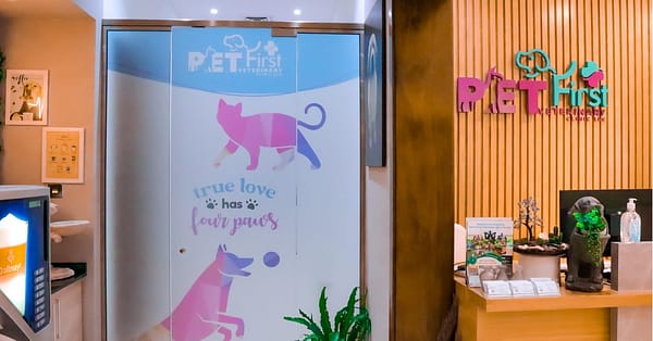 Cat/Dog Annual Vaccination, Full Check-Up W/ Optional Nail Trim & More Dubai - Image 2