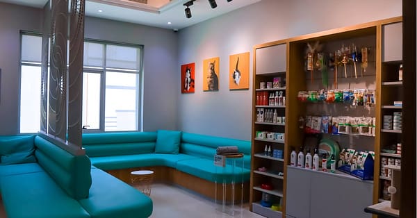 Cat/Dog Annual Vaccination, Full Check-Up W/ Optional Nail Trim & More Dubai - Image 6