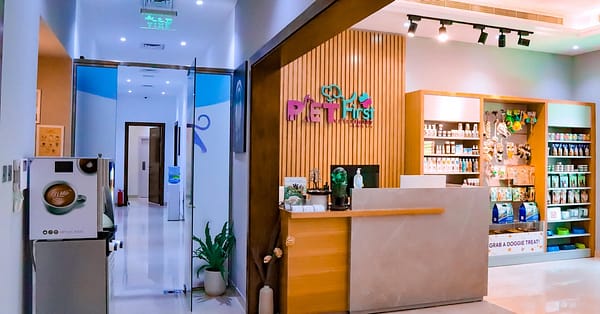 Cat/Dog Annual Vaccination, Full Check-Up W/ Optional Nail Trim & More Dubai - Image 7