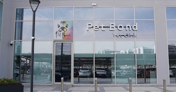 Cat/Dog Check Up With Vaccinations Dubai - Image 3