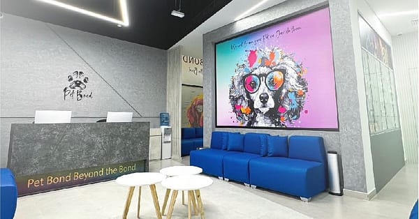 Cat/Dog Check Up With Vaccinations Dubai - Image 7