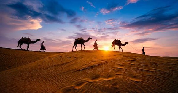 Desert Safari Adventure For 1,2, Or 4 With Vip Treatment And Atv Ride Dubai - Image 5
