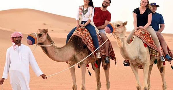 Desert Safari And Bbq With Pickup By Benchmark Tourism Dubai - Image 2