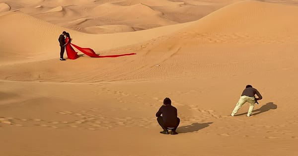 Desert Safari With Live Shows Dubai - Image 4