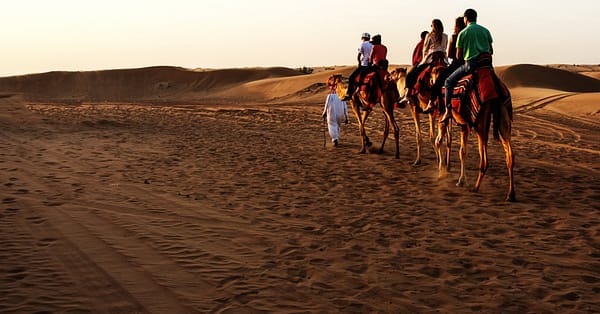 Desert Safari With Quad Biking Dubai - Image 7