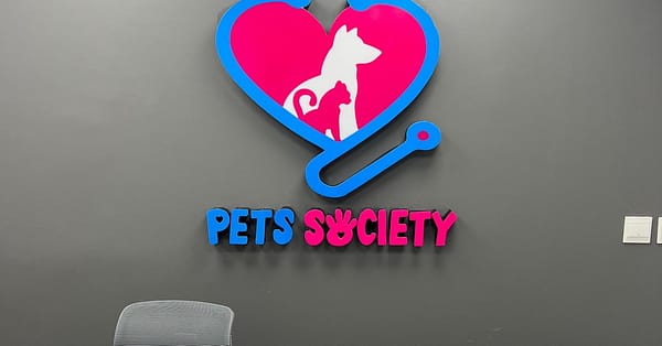 Discover Annual Vaccination, Deworming, Check-Up & More For Pets Dubai - Image 3