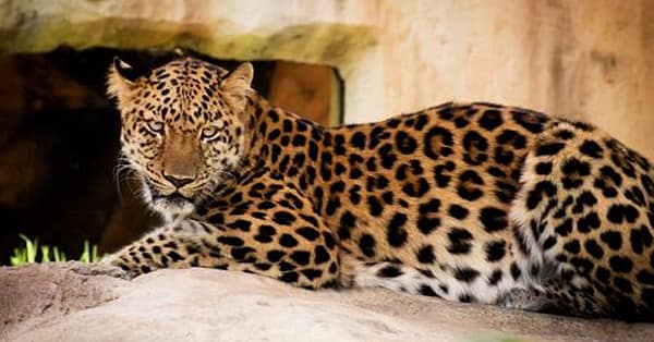 Dive Into Fun: Zoo Entrance With Activity And Aed 50/100/200 Voucher Abu Dhabi - Image 8
