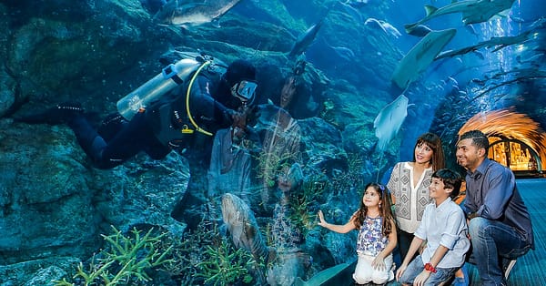 Dive Into The Ultimate Experience Adventure Packages! National Deal - Image 7