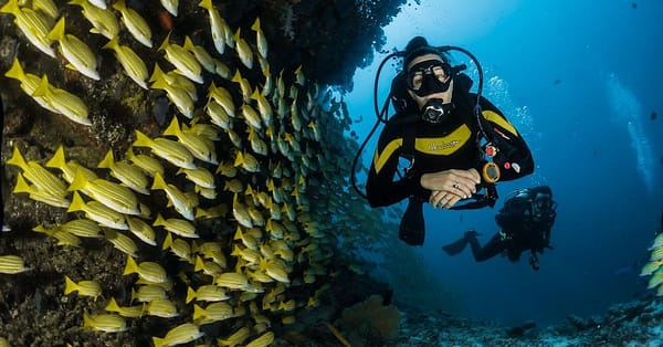 Diving Dubai - Image 2