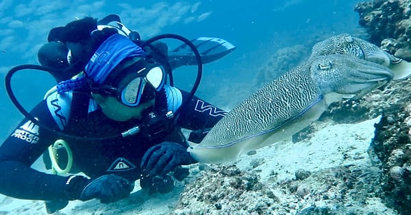 Diving Dubai - Image 7