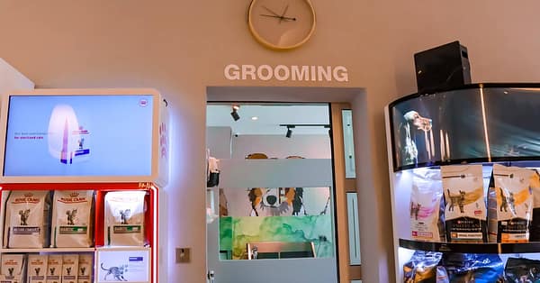 Dog / Cat Grooming From Best Veterinary Clinic In The Uae Award Winner Dubai - Image 13