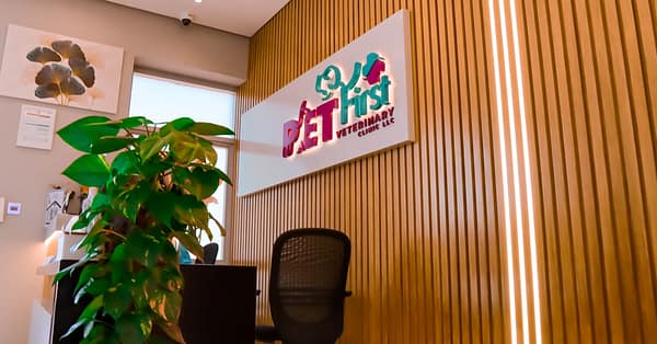 Dog / Cat Grooming From Best Veterinary Clinic In The Uae Award Winner Dubai - Image 14