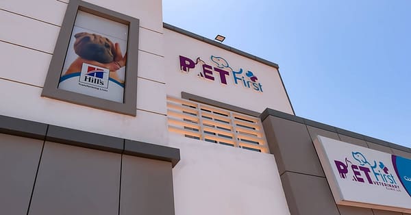 Dog / Cat Grooming From Best Veterinary Clinic In The Uae Award Winner Dubai - Image 15