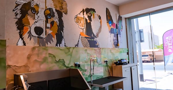 Dog / Cat Grooming From Best Veterinary Clinic In The Uae Award Winner Dubai - Image 16
