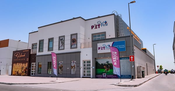 Dog / Cat Grooming From Best Veterinary Clinic In The Uae Award Winner Dubai - Image 18