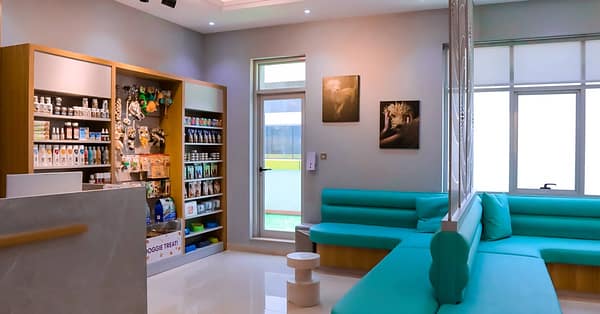 Dog / Cat Grooming From Best Veterinary Clinic In The Uae Award Winner Dubai - Image 2