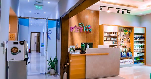 Dog / Cat Grooming From Best Veterinary Clinic In The Uae Award Winner Dubai - Image 4