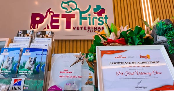 Dog / Cat Grooming From Best Veterinary Clinic In The Uae Award Winner Dubai - Image 6