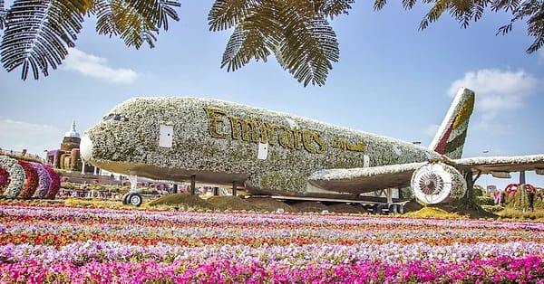 Dubai Frame, The Lost Chambers Aquarium, Wild Wadi Waterpark, & More! Dubai - Image 10
