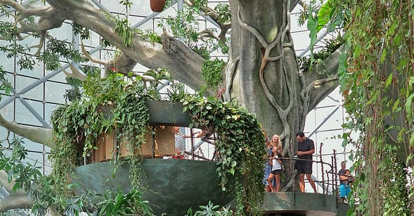 Dubai Frame, The Lost Chambers Aquarium, Wild Wadi Waterpark, & More! Dubai - Image 8