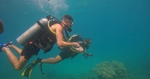Embark On Adventure: Try Dive, Snorkeling Trip And Boat Trip Dubai - Image 13