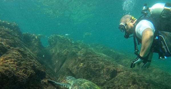 Embark On Adventure: Try Dive, Snorkeling Trip And Boat Trip Dubai - Image 6