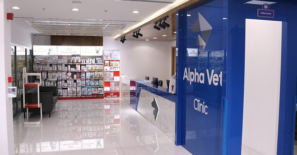 Ensure Your Pets Health With Annual Vaccination For Cat Or Dog! Dubai - Image 11