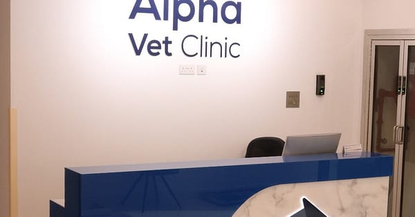 Ensure Your Pets Health With Annual Vaccination For Cat Or Dog! Dubai - Image 4