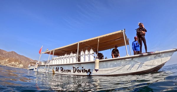 Snorkeling Or Scuba Diving Experience At Al Boom Diving Dubai - Image 2