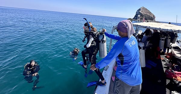 Snorkeling Or Scuba Diving Experience At Al Boom Diving Dubai - Image 3