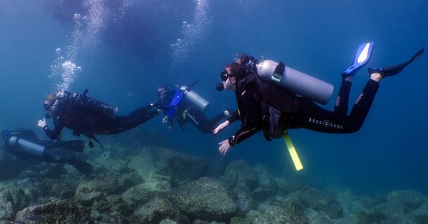 Snorkeling Or Scuba Diving Experience At Al Boom Diving Dubai - Image 5
