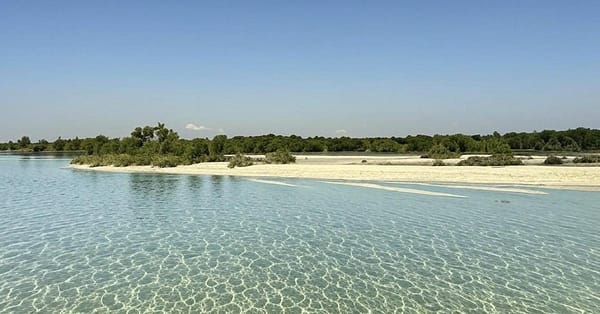 Explore Abu Dhabi In 1, 2, 3, Or 4 Hour Tours For Up To 12 Guests Abu Dhabi - Image 7