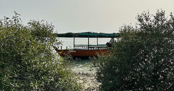 Explore Abu Dhabi In 1, 2, 3, Or 4 Hour Tours For Up To 12 Guests Abu Dhabi - Image 8