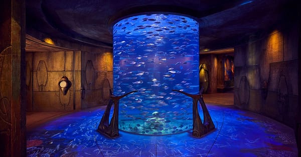 Explore Atlantis At The Lost Chambers Aquarium! Dubai - Image 6