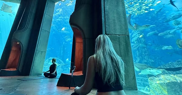 Explore Atlantis At The Lost Chambers Aquarium! Dubai - Image 7